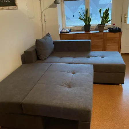 Ferienwohnung Marienhof Erdgeschoss Seelbach  Buitenkant foto